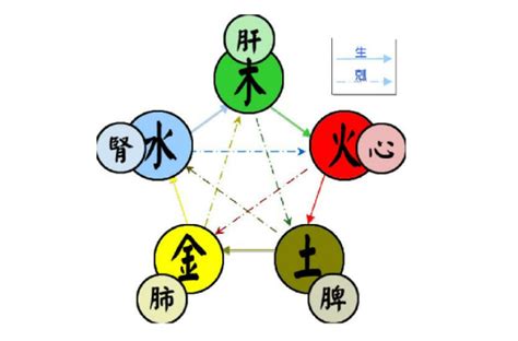 阴阳五行|五行（对万事万物的取象比类）